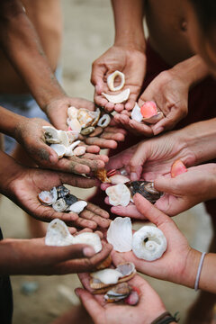 Children's hands holding shells they collected on the beach