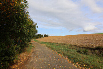 Fototapeta na wymiar Autumn landscape with cleared fields and cloudy sky