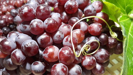 cherries on the market