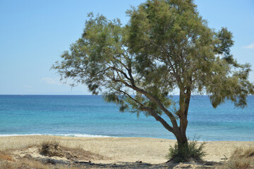 Naxos Greek Island vacation holidays Greece