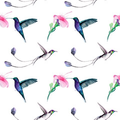 aquareltekening van een vogel - een kolibriespatroon