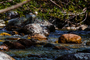 Fototapeta na wymiar in summer rocky mountain river water silk. mountain river