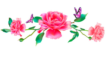 Fototapeta premium butterfly725