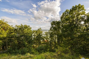 Beautiful view from mountain to nature with a view of the Baltic Sea. Tops of green forest trees on blue sky and white clouds background on sunny summer day.