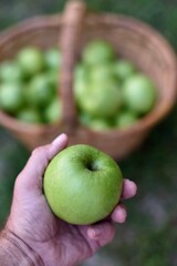 Choisir une belle pomme