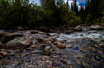 in summer rocky mountain river water silk. mountain river