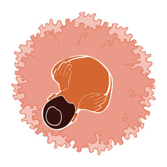 Ballerina in pink ballet tutu. Dancer in beautiful pose. Ballet. Vector illustration. © Yana