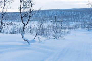 Neve em Alta, Noruega