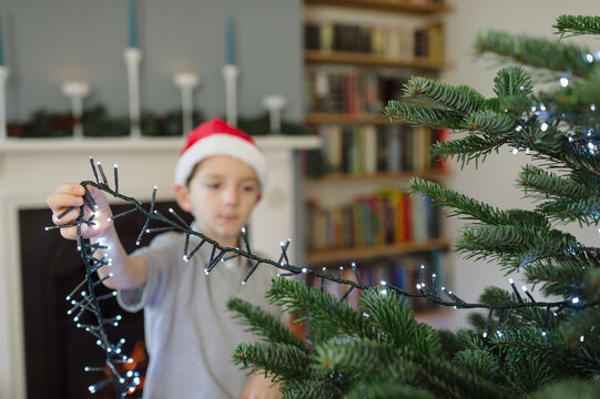 Santa hat clad child adding lights to Christmas tree