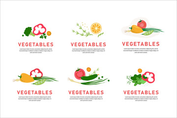collection of vegetables. Vector vegetable composition for banner, menu, organic and natural food stores, packaging. Pepper, peas, tomato and green onion for salad isolated white background. 