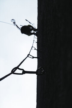 Silhouette of a man rock climbing a wall with the view of all the sport climbing quickdraws below him