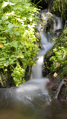 Blurred stream of a mountain stream flowing over moss and stones on the sun.