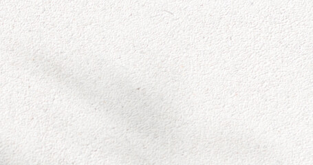 Abstract Shadow. blurred background. gray leaves that reflect concrete walls on a white wall surface for blurred backgrounds and monochrome wallpapers.