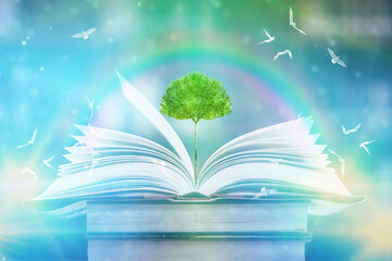 Education concept with tree of knowledge planting on opening big book and blurred bookshelf background in library. education background. back to school concept.