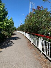 Naklejka premium a path in the park