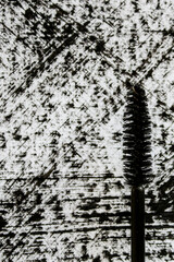 Fototapeta premium mascara brush with black strokes