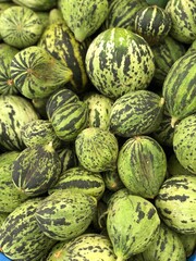 Green watermelons background, vertical image. Soft and selective focus