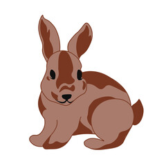 Cute Rabbit illustration. Isolated vector.