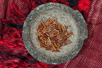 Fried worms insects food in a Mexican molcajete