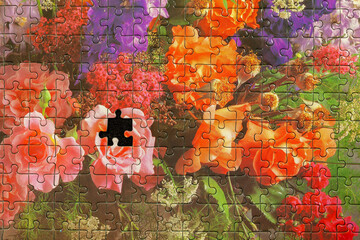 Puzzle missing a piece
