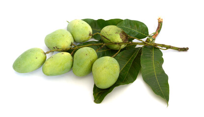 Many mangoes and put together a bunch on a white background. 
