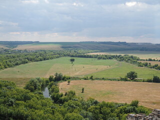 Naklejka premium Steppe landscape. Lonely green plants .The steppe is woodless. Ravine in the steppe. Aerial photo