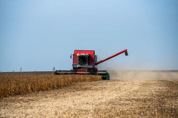 Fototapeta na wymiar The combine harvesters ripe corn in the field