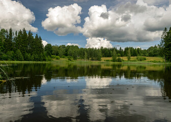 Obraz premium summer landscape by the lake, trees and cumulus clouds reflect in the lake water, shore overgrown with reeds, summer nature
