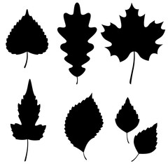 Vector Collection of Leaf Silhouettes. Vector illustration. Birch and maple leaves