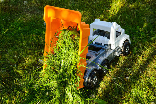 Children's orange and white truck on green grass