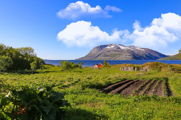 Landscape with clouds, Andalshatten mountain in a summer day, Nordland county