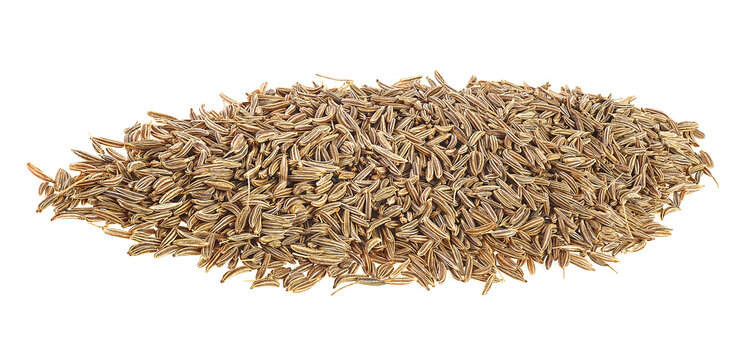 Pile of cumin seeds isolated on a white background. Caraway seeds.