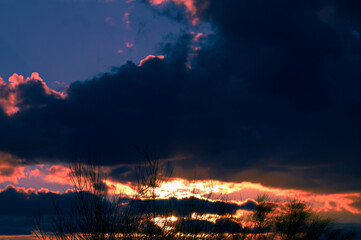 zachód słońca chmury niebo błękit rośliny 