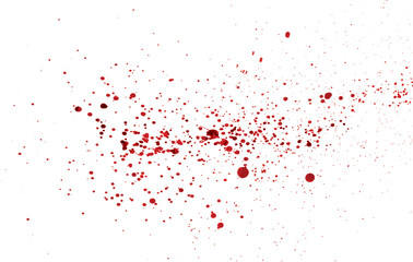 Blood drops and splatters isolated on white background. Halloween bloody background. Vector illustration EPS 8.