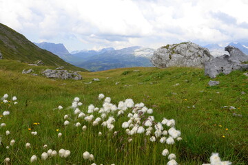 Sommer in den Bergen. Sommer in den Bergen