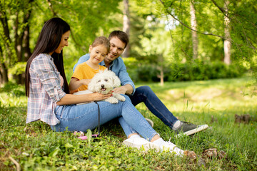 Naklejka na ściany i meble Beautiful happy family is having fun with bichon dog outdoors