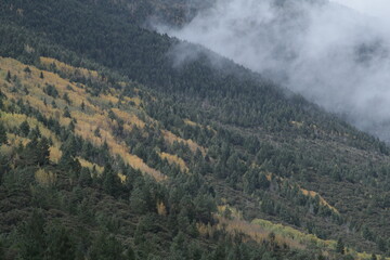 Montaña con niebla