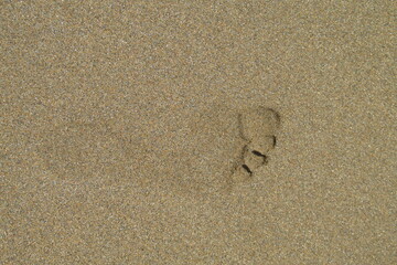 Fototapeta na wymiar Huella de pies sobre arena de playa