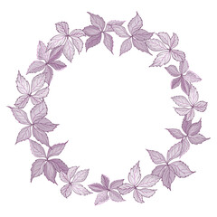 Fototapeta na wymiar Monochrome wreath of leaves wild grape on white background. Light purple round frame for fashion, greetings, save the dates, invitation template. Vintage. Vector