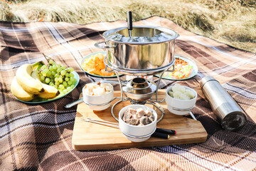 Set for fondue in picnic. picnic with cheese fondue