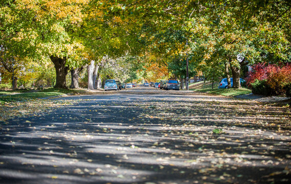 Spokane Street