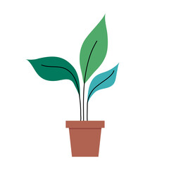 Plant inside pot design of Floral nature garden ornament botany decoration beauty and flora theme Vector illustration