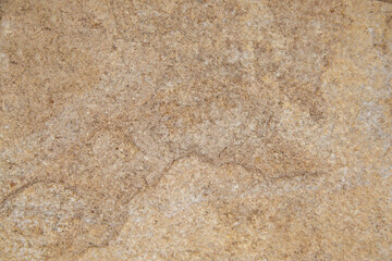 Cement brown background with copy space. Cement texture.