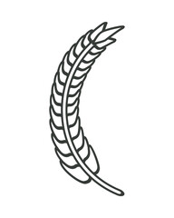 monochrome barley wheat spike nature icon