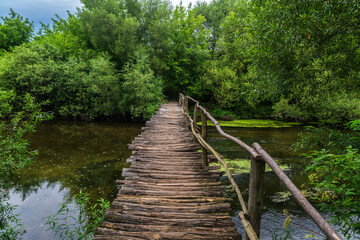 Old wooden bridge over the river in the forest.