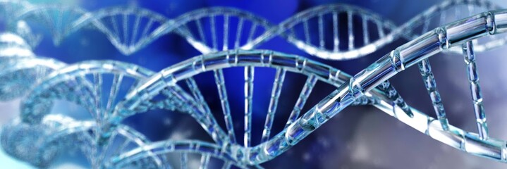 DNA helix of human , human genotype, RNA helix