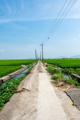 田園風景