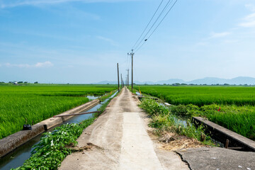 田園風景