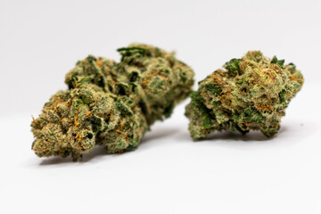 Marijuana bud on white background (from Denver)