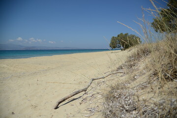 Naoxos Greek Island Holiday Vacation